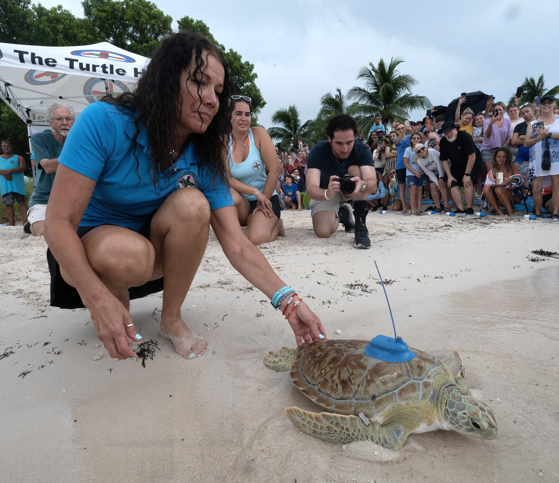 Fotografía cedida por la Oficina de Noticias de los Cayos de Florida donde aparece Bette Zirkelbach (i) mientras libera a la tortuga marina verde 'Roseleigh' este viernes frente a los Cayos de Florida en la playa de Sombrero Beach en Marathon, Florida. EFE/Andy Newman/Oficina de Noticias de los Cayos de Florida /SOLO USO EDITORIAL /NO VENTAS /SOLO DISPONIBLE PARA ILUSTRAR LA NOTICIA QUE ACOMPAÑA /CRÉDITO OBLIGATORIO