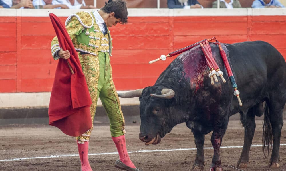 El novillero Carlos Domínguez con el segundo de los de su lote. Imagen de archivo. EFE/Javier Zorrilla