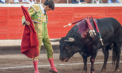 El novillero Carlos Domínguez con el segundo de los de su lote. Imagen de archivo. EFE/Javier Zorrilla