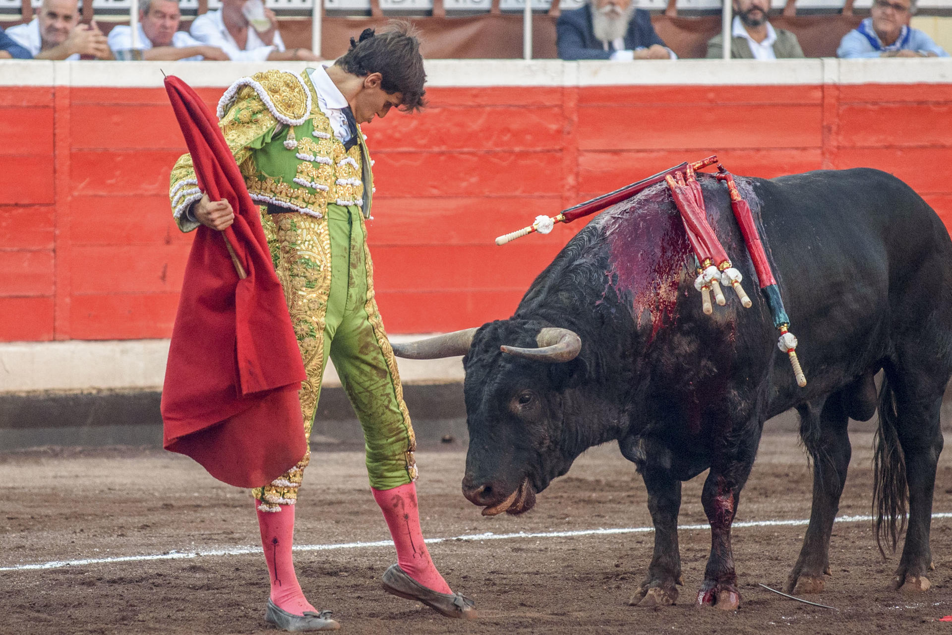 El novillero Carlos Domínguez con el segundo de los de su lote. Imagen de archivo. EFE/Javier Zorrilla