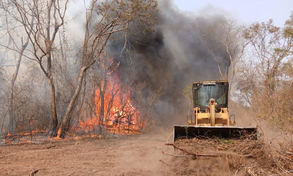 Fotografía cedida por el ejército de Paraguay donde se observa un incendio este sábado en la estancia Campo Grande, al norte de Alto Paraguay (Paraguay). EFE/ Ejército de Paraguay