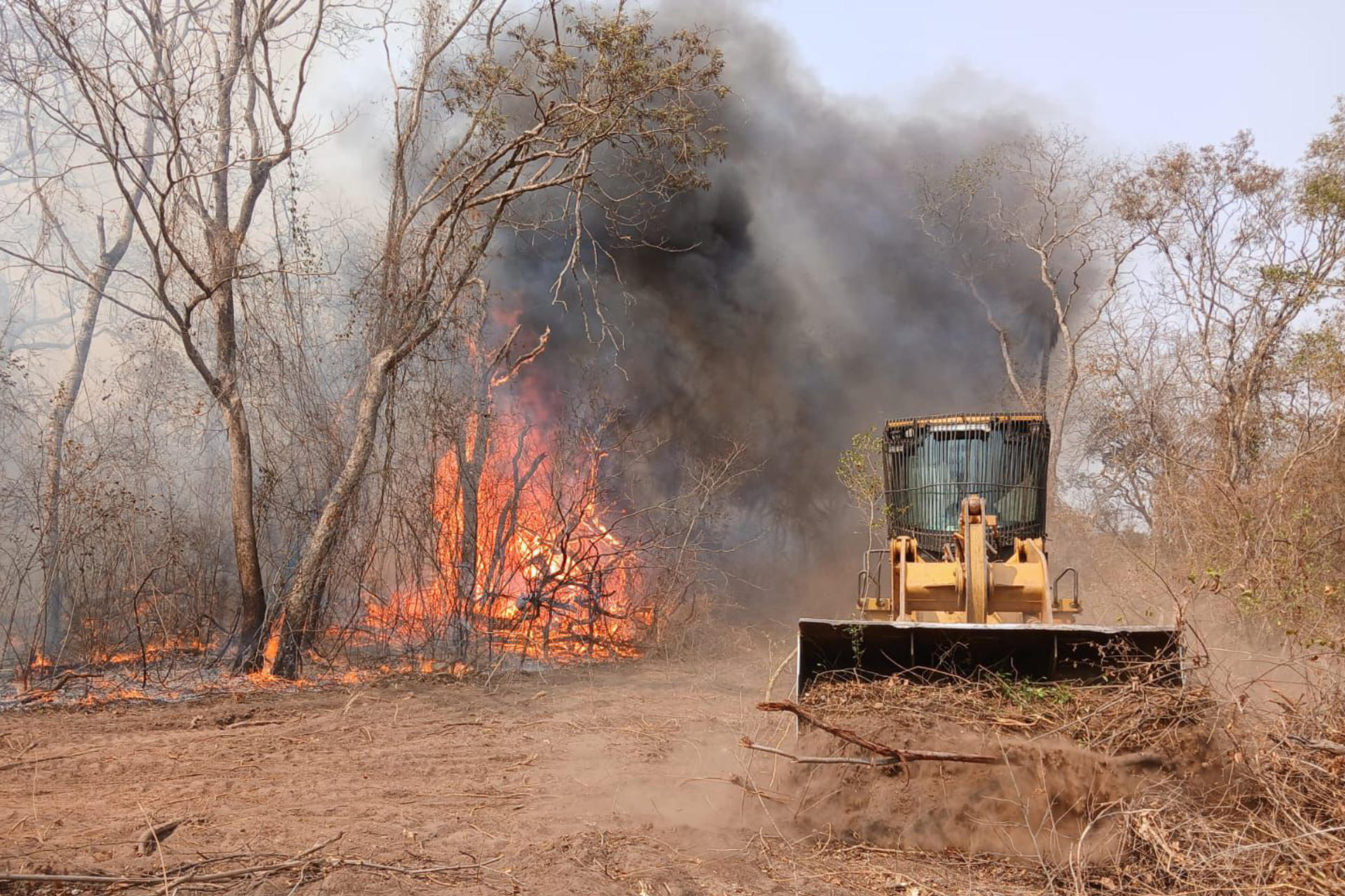 Fotografía cedida por el ejército de Paraguay donde se observa un incendio este sábado en la estancia Campo Grande, al norte de Alto Paraguay (Paraguay). EFE/ Ejército de Paraguay