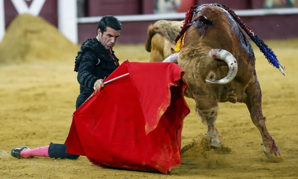 El torero Emilio de Justo con el sexto toro, al que lidió por la lesión de Cayetano, durante la Tradicional Corrida Picassiana este jueves en la Plaza de toros de La Malagueta, Málaga, la segunda de la Feria de Málaga 2024, con toros de Torrealta. EFE/ Jorge Zapata