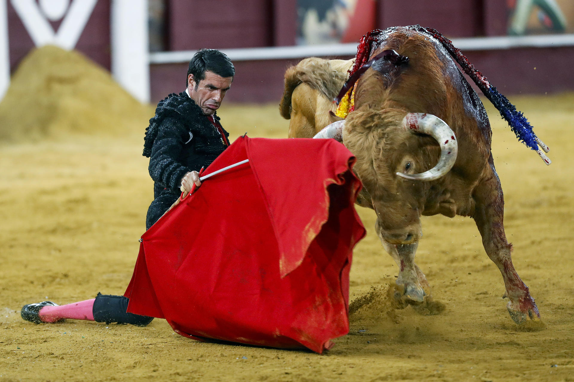 El torero Emilio de Justo con el sexto toro, al que lidió por la lesión de Cayetano, durante la Tradicional Corrida Picassiana este jueves en la Plaza de toros de La Malagueta, Málaga, la segunda de la Feria de Málaga 2024, con toros de Torrealta. EFE/ Jorge Zapata