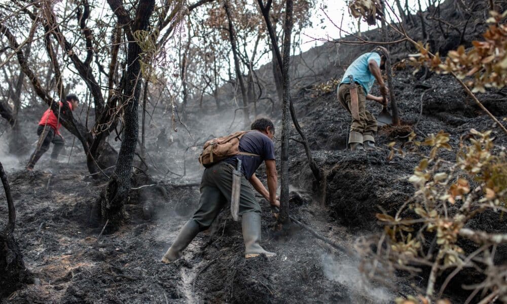 Fotografía del 21 de septiembre de 2024 de pobladores voluntarios apagando un incendio forestal en el departamento de Amazonas (Perú). EFE/Miguel Gutierrez Chero