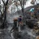 Fotografía del 21 de septiembre de 2024 de pobladores voluntarios apagando un incendio forestal en el departamento de Amazonas (Perú). EFE/Miguel Gutierrez Chero