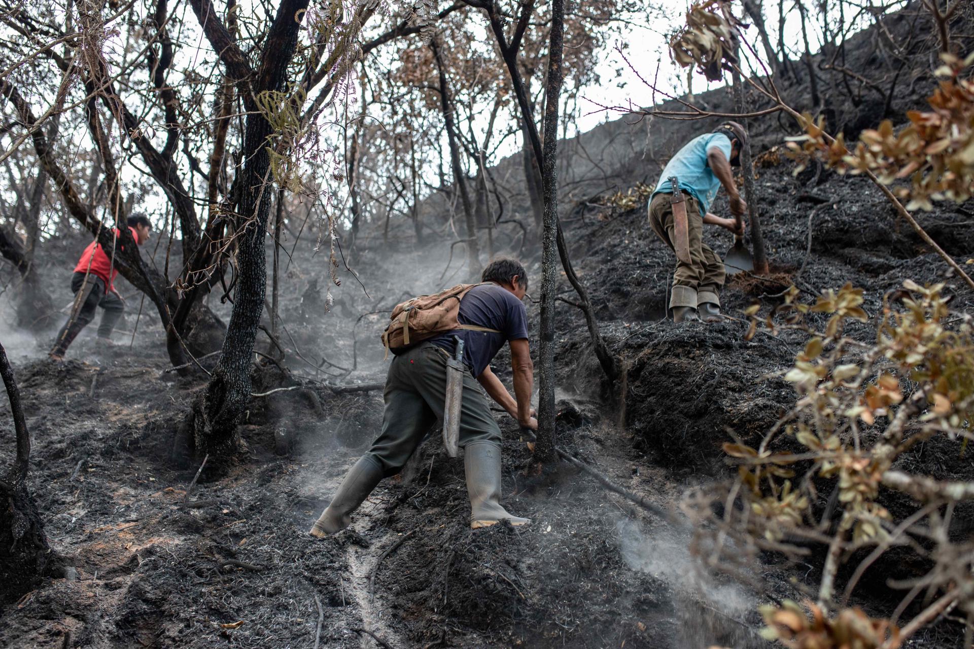 Fotografía del 21 de septiembre de 2024 de pobladores voluntarios apagando un incendio forestal en el departamento de Amazonas (Perú). EFE/Miguel Gutierrez Chero