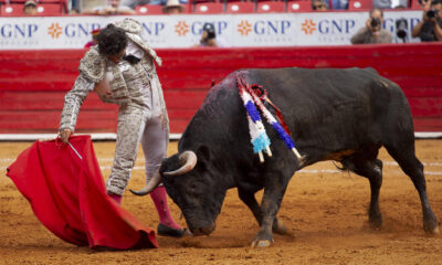 Fotografía cedida este miércoles por la Plaza México, del novillero Manolo González en la Monumental Plaza de Toros México, en Ciudad de México (México). EFE/Plaza México/SOLO USO EDITORIAL/SOLO DISPONIBLE PARA ILUSTRAR LA NOTICIA QUE ACOMPAÑA (CRÉDITO OBLIGATORIO)