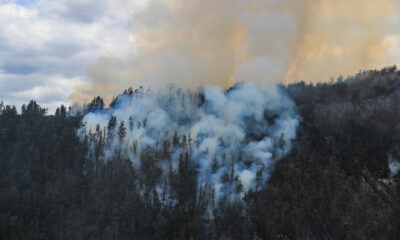 Fotografía de archivo de un incendio forestal en Quito (Ecuador). EFE/José Jácome