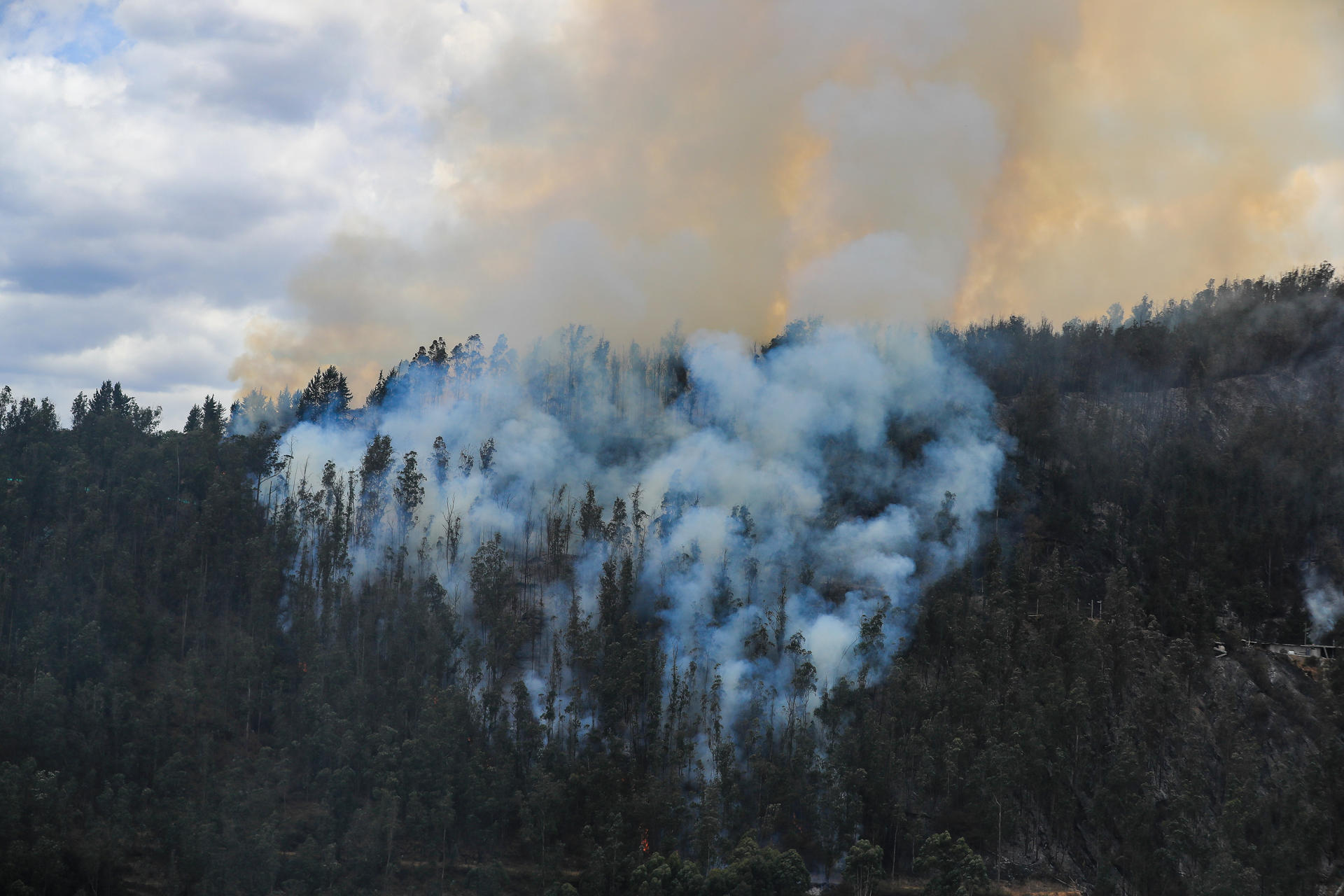 Fotografía de archivo de un incendio forestal en Quito (Ecuador). EFE/José Jácome