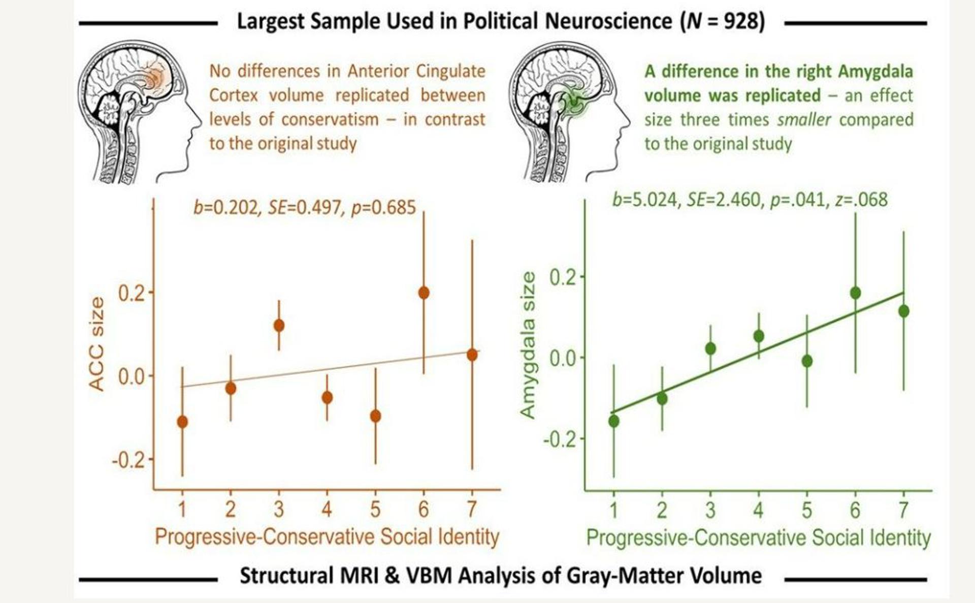 Gráfico del artículo publicado en iScience que analiza la correlación entre la idiología política y la estructura cerebral. Fotografía facilitada por Petropoulos Petalas et al./iScience. EFE