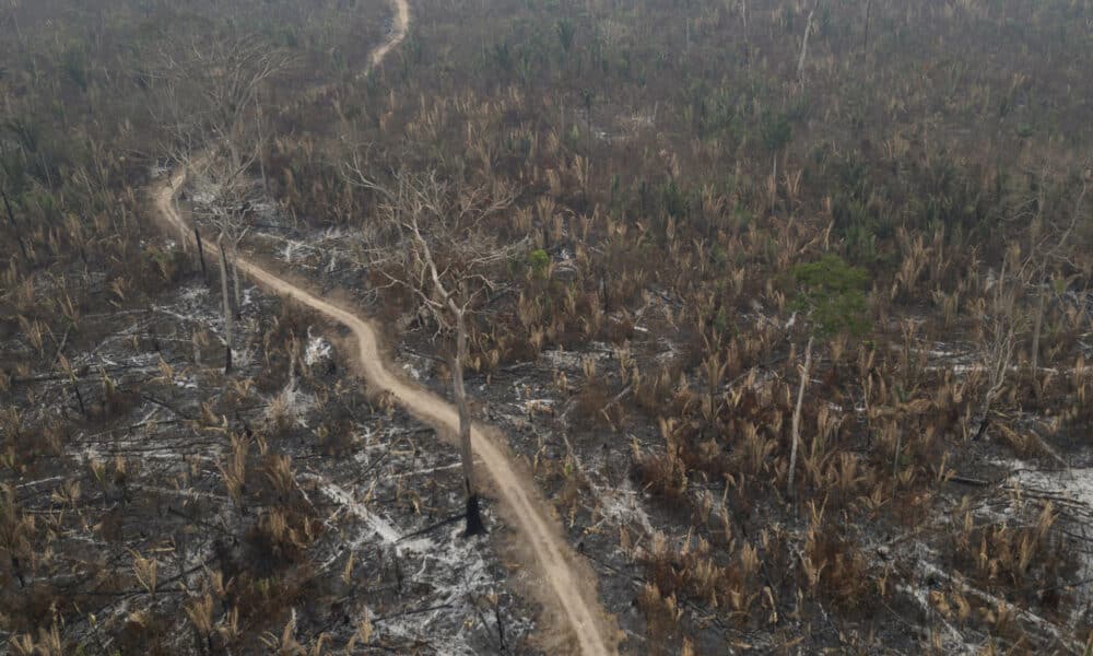 Fotografía aérea de archivo que muestra la afectación por incendios de una zona del Parque Estatal Guajará Mirim, en Nova Mamoré (Brasil). EFE/ Isaac Fontana