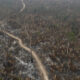 Fotografía aérea de archivo que muestra la afectación por incendios de una zona del Parque Estatal Guajará Mirim, en Nova Mamoré (Brasil). EFE/ Isaac Fontana