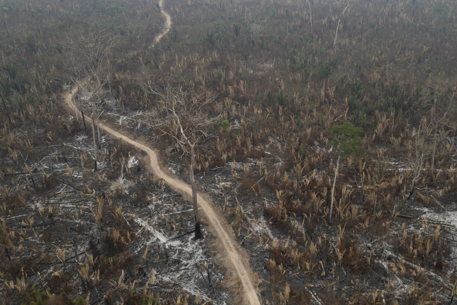 Fotografía aérea de archivo que muestra la afectación por incendios de una zona del Parque Estatal Guajará Mirim, en Nova Mamoré (Brasil). EFE/ Isaac Fontana