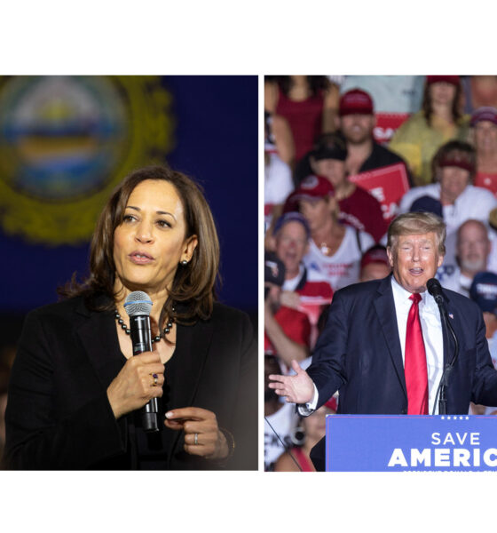 Combo de fotografías de archivo que muestra a la vicepresidenta de EE.UU. Kamala Harris (i) y al expresidente Donald Trump. Archivo. EFE