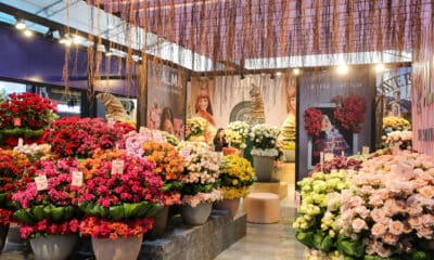 Fotografía de la inauguración de la Expo Flor 2024, este 8 de octubre de 2024 en Quito (Ecuador). EFE/ José Jácome