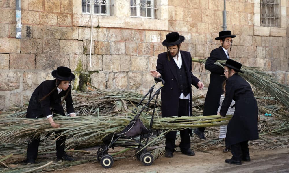 Un hombre y sus hijos compran hojas de palma para construir el techo de una Sucá, poco antes del inicio de la festividad del Sucot, en el barrio ultraortodoxo de Mea Shearim. Al caer la tarde del miércoles, cuando comienza oficialmente la festividad del Sucot, miles de judíos en Jerusalén entran en pequeñas cabañas de madera construidas durante los últimos días frente a su casa y celebrarán la alegría que caracteriza la conocida como Fiesta de los Tabernáculos.En el barrio de Mea Shearim, el corazón del Jerusalén más ultraortodoxo, decenas de personas se afanaban horas antes en hacer los últimos preparativos: compran hojas de palma para poner sobre el techo de su cabaña o inspeccionan con lupa las cidras, unos frutos cítricos parecidos al limón que deben agitar en rezos especiales durante los siete días que dura la festividad. EFE/Alejandro Ernesto