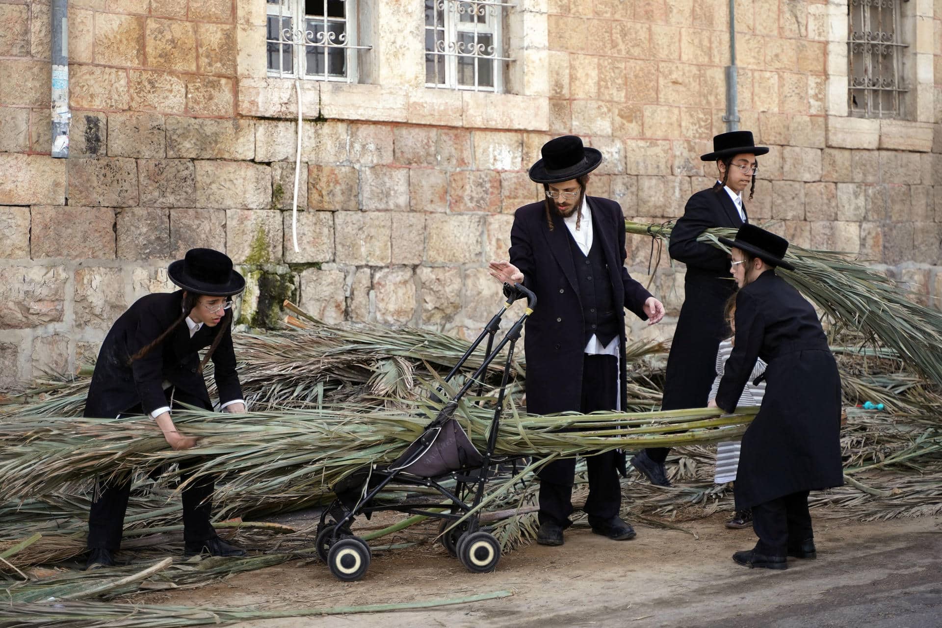 Un hombre y sus hijos compran hojas de palma para construir el techo de una Sucá, poco antes del inicio de la festividad del Sucot, en el barrio ultraortodoxo de Mea Shearim. Al caer la tarde del miércoles, cuando comienza oficialmente la festividad del Sucot, miles de judíos en Jerusalén entran en pequeñas cabañas de madera construidas durante los últimos días frente a su casa y celebrarán la alegría que caracteriza la conocida como Fiesta de los Tabernáculos.En el barrio de Mea Shearim, el corazón del Jerusalén más ultraortodoxo, decenas de personas se afanaban horas antes en hacer los últimos preparativos: compran hojas de palma para poner sobre el techo de su cabaña o inspeccionan con lupa las cidras, unos frutos cítricos parecidos al limón que deben agitar en rezos especiales durante los siete días que dura la festividad. EFE/Alejandro Ernesto