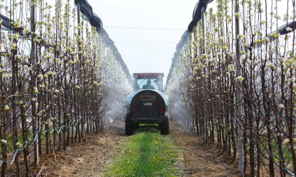 Un vehículo fumiga perales en un huerto de frutales, en una imagen de archivo. EFE/ Gyorgy Varga