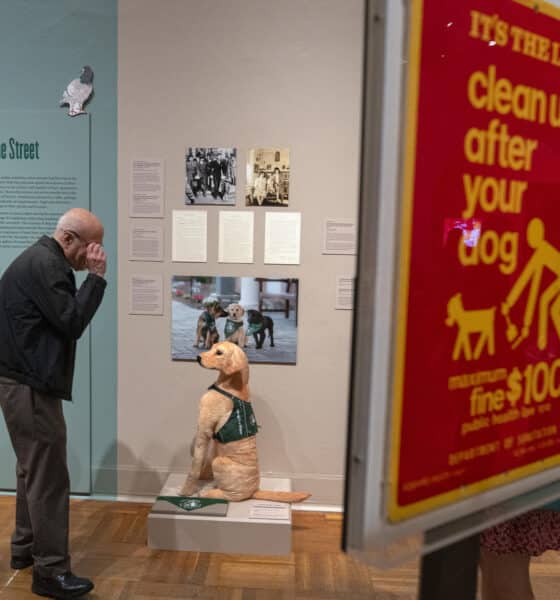 Un hombre visita la exposición 'Pets and the City' (las mascotas y la ciudad) este viernes, en la sede del museo en Nueva York (EE.UU.). EFE/ Ángel Colmenares