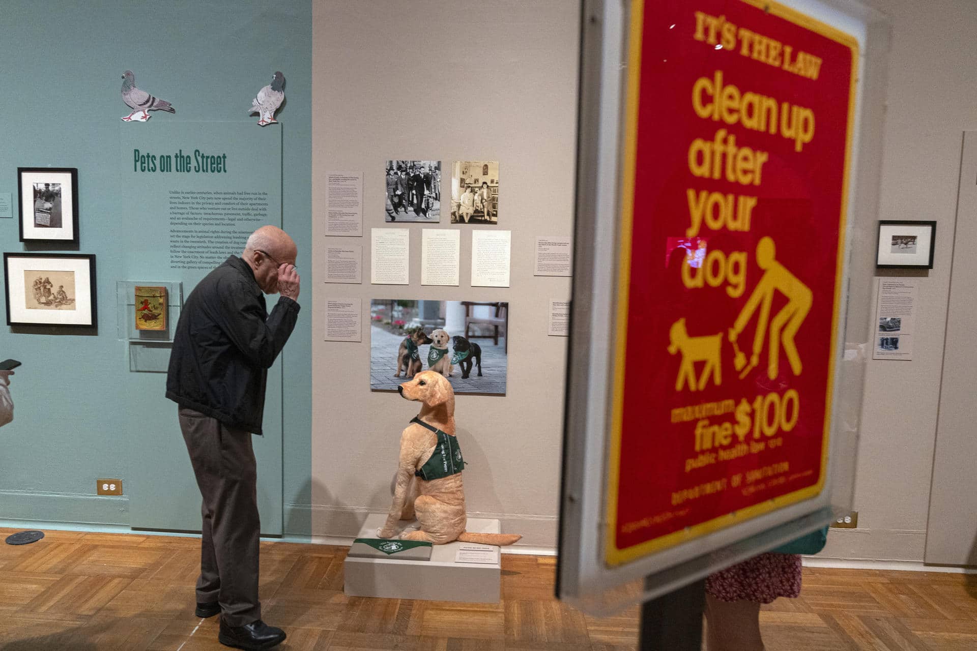 Un hombre visita la exposición 'Pets and the City' (las mascotas y la ciudad) este viernes, en la sede del museo en Nueva York (EE.UU.). EFE/ Ángel Colmenares