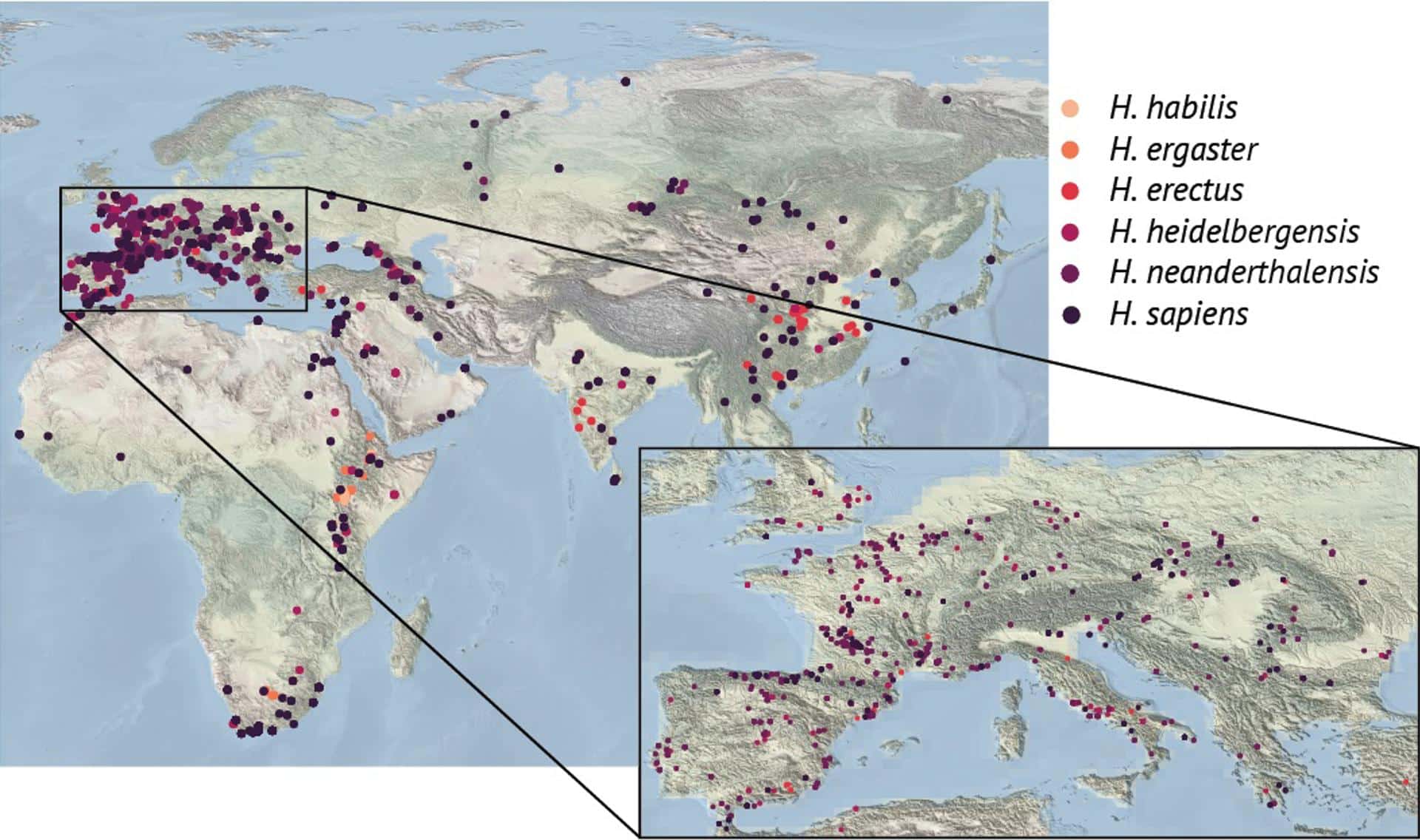 Mapa de África y Eurasia que muestra yacimientos con indicios de ocupación humana. El recuadro muestra una vista ampliada de Europa. Crédito: Instituto de Ciencias Básicas