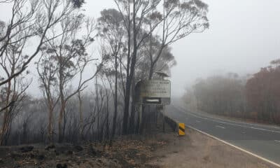 AME3249. SÍDNEY (AUSTRALIA), 30/10/2024.- Fotografía cedida por la Organización de Investigación Científica e Industrial del Commonwealth de árboles quemados tras un incendio forestal. Australia tendrá temporadas más largas de incendios forestales, una fuerte subida del nivel del mar, y registrará una mayor acidez en los océanos debido al incremento de las temperaturas causado por la crisis climática, según un informe oficial publicado este jueves. EFE/ Organización De Investigación Científica E Industrial Del Commonwealth / SOLO USO EDITORIAL/ SOLO DISPONIBLE PARA ILUSTRAR LA NOTICIA QUE ACOMPAÑA (CRÉDITO OBLIGATORIO)