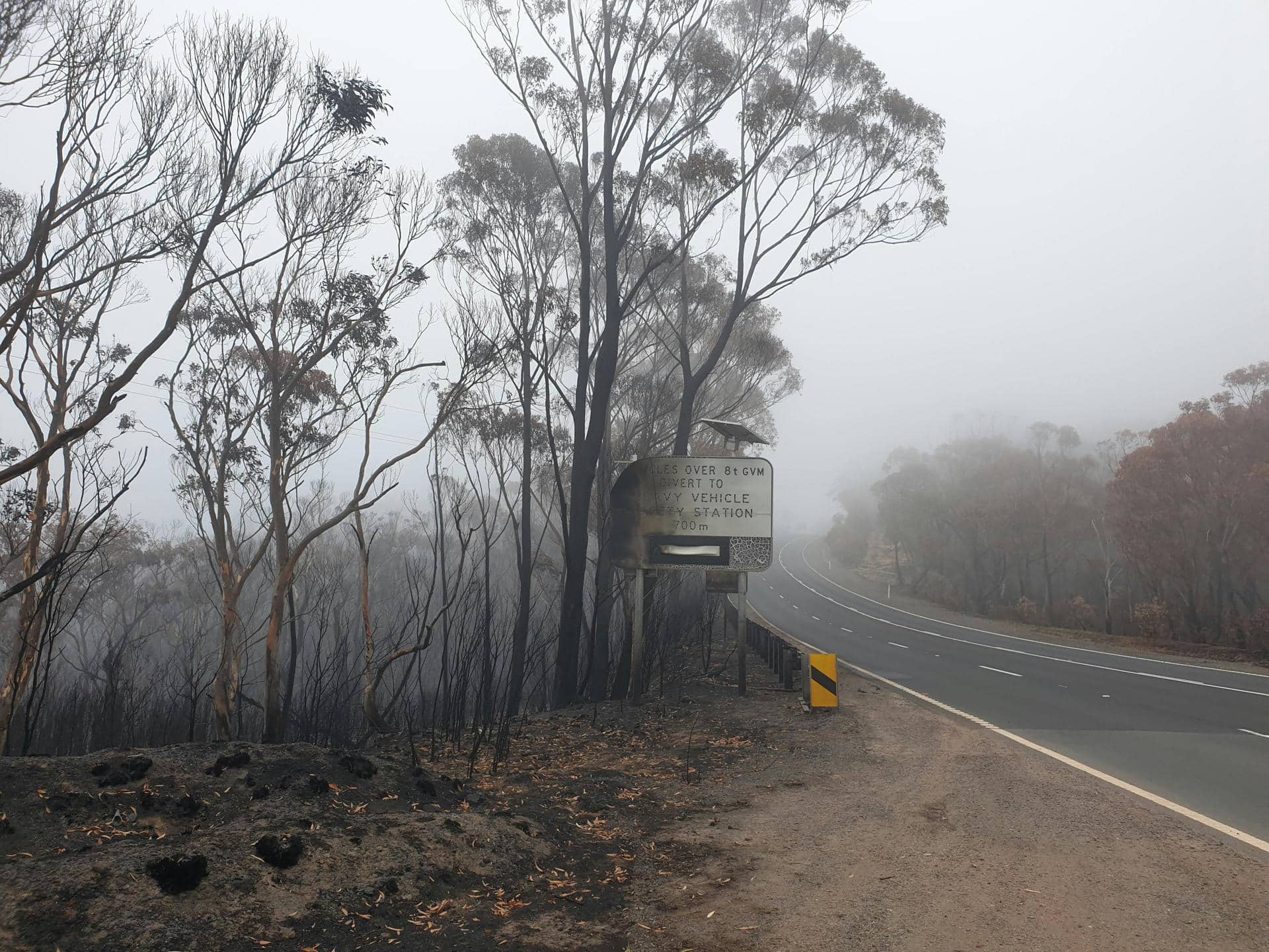 AME3249. SÍDNEY (AUSTRALIA), 30/10/2024.- Fotografía cedida por la Organización de Investigación Científica e Industrial del Commonwealth de árboles quemados tras un incendio forestal. Australia tendrá temporadas más largas de incendios forestales, una fuerte subida del nivel del mar, y registrará una mayor acidez en los océanos debido al incremento de las temperaturas causado por la crisis climática, según un informe oficial publicado este jueves. EFE/ Organización De Investigación Científica E Industrial Del Commonwealth / SOLO USO EDITORIAL/ SOLO DISPONIBLE PARA ILUSTRAR LA NOTICIA QUE ACOMPAÑA (CRÉDITO OBLIGATORIO)