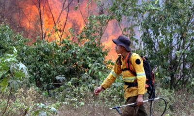 Fotografía de archivo de un bombero trabaja apagando un incendio en la comunidad de Palestina (Bolivia). EFE/ Juan Carlos Torrejón