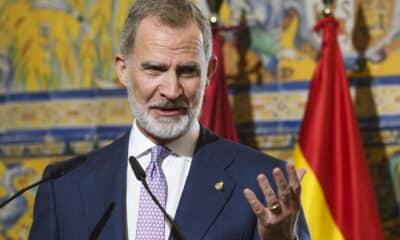 Felipe VI durante su intervención tras recibir la 'Distinción de Honor' de los Premios Iberoamericanos Torre del Oro concedida por la Cámara de Comercio de Sevilla y la Fundación Cajasol Real Alcázar, este lunes en Sevilla. EFE/Raúl Caro ***POOL***