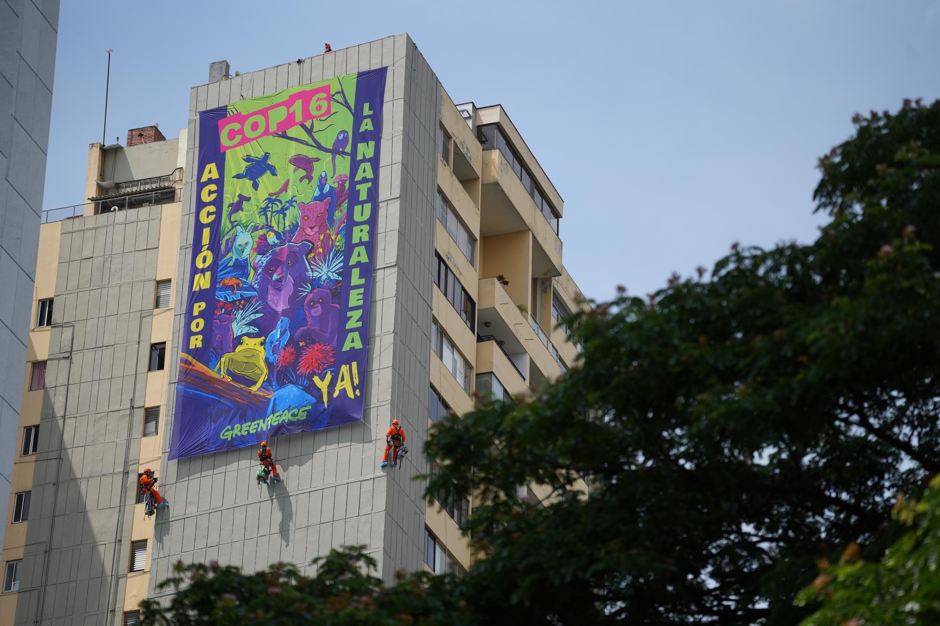 Activistas de Greenpeace despliegan un cartel sobre un edificio este viernes, en la ciudad de Cali (Colombia). EFE/ Ernesto Guzmán