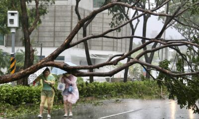 Unas mujeres que intentan protegerse de la lluvia y el viento con sendos paraguas encuentran a su paso un árbol caído en Kaohsiung, una importante ciudad portuaria del sur de Taiwán, donde tocó tierra este jueves el tifón Krathon, que mantuvo su avance por la región meridional de la isla con rachas de viento de hasta 136,8 kilómetros por hora (km/h), según informó la Agencia Meteorológica Central (CWA) taiwanesa. EFE/ Ritchie B. Tongo