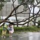 Unas mujeres que intentan protegerse de la lluvia y el viento con sendos paraguas encuentran a su paso un árbol caído en Kaohsiung, una importante ciudad portuaria del sur de Taiwán, donde tocó tierra este jueves el tifón Krathon, que mantuvo su avance por la región meridional de la isla con rachas de viento de hasta 136,8 kilómetros por hora (km/h), según informó la Agencia Meteorológica Central (CWA) taiwanesa. EFE/ Ritchie B. Tongo