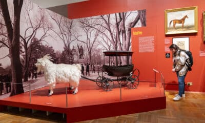 Una mujer visita la exposición 'Pets and the City' (las mascotas y la ciudad) este viernes, en la sede del museo en Nueva York (EE.UU.). EFE/ Ángel Colmenares