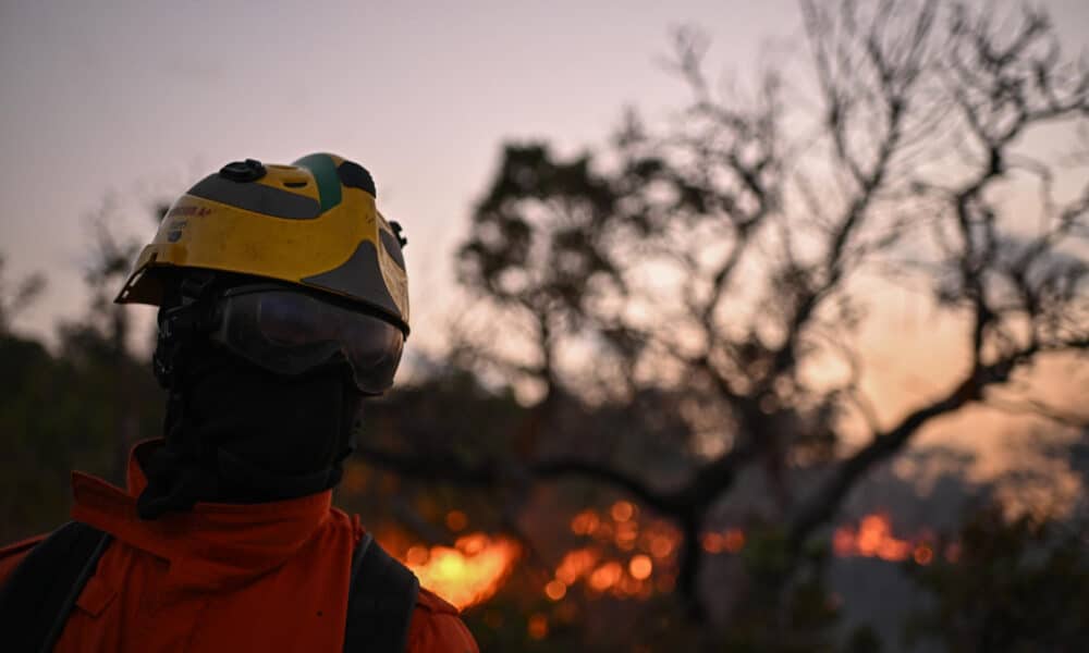 Un bombero trabaja para extinguir un incendio forestal en la Reserva Ecológica Contagem,en Brasilia (Brasil). EFE/ Andre Borges