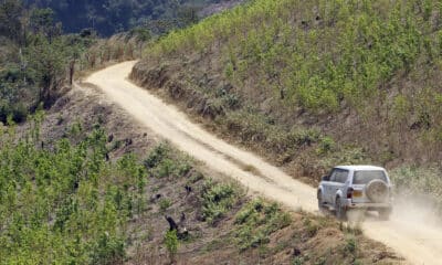 Fotografía de archivo de cultivos de coca en una vía de Briceño (Colombia). EFE/Mauricio Dueñas Castañeda