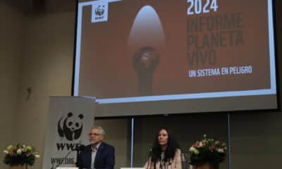 El Director General- WWF México, Jorge Rickards (i), y la directora de Conservación-WWF México, María José Villanueva, participan este miércoles durante una rueda de prensa en la Ciudad de México (México). EFE/Mario Guzmán