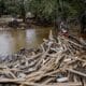 Fotografía del 3 de octubre de escombros a lo largo de las orillas de un río tras las inundaciones provocadas por el huracán Helene en Estados Unidos. EFE/ERIK S. LESSER