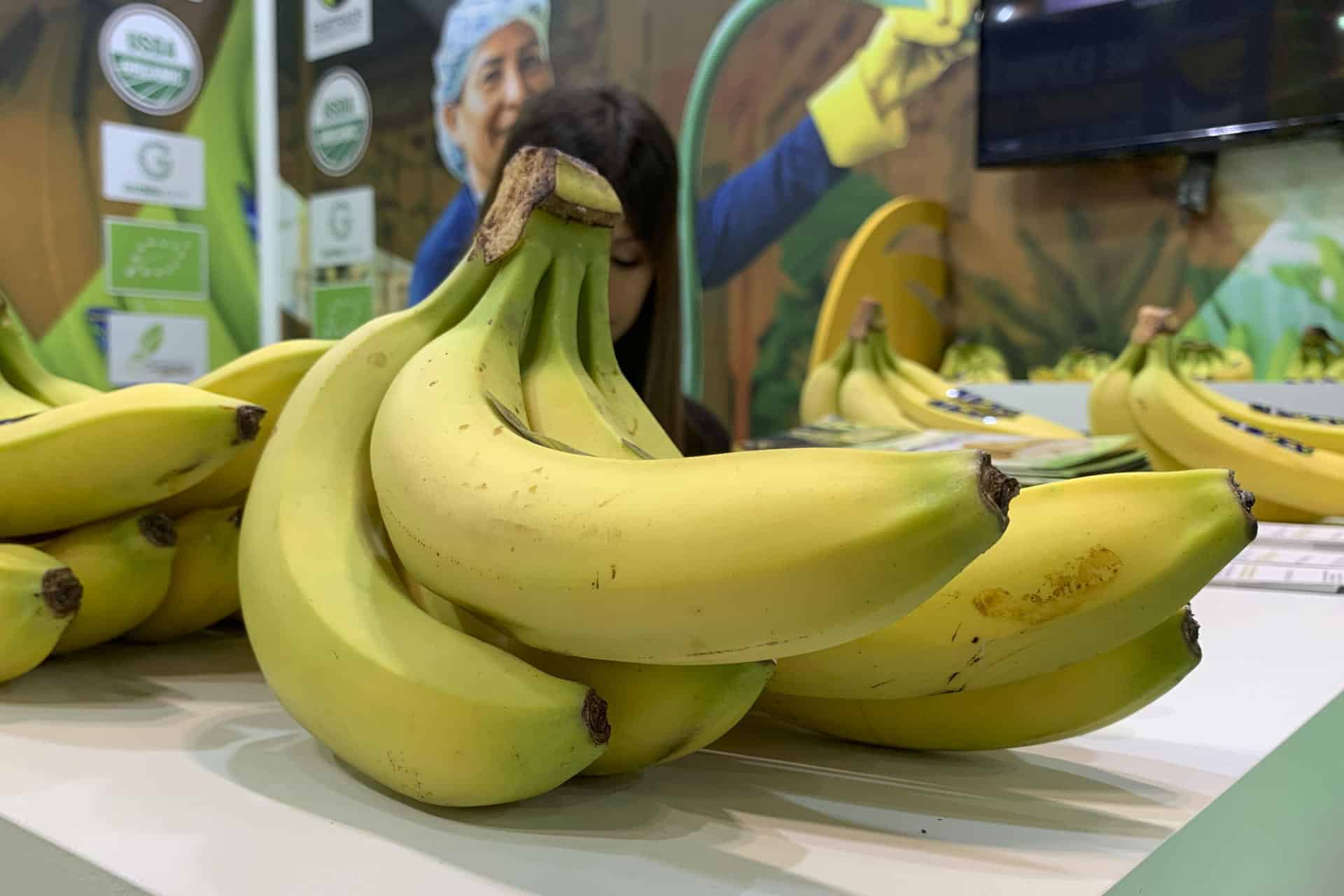 Fotografía de bananas de Ecuador en la feria Fruit Attraction 2024, en IFEMA, Madrid (España). EFE/ Patricia Cotelo Bertaiola