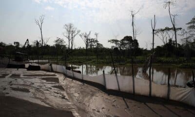 Fotografía de actividades de minería ilegal de oro, en la comunidad indígena de San Jacinto, en la región de Madre de Dios (Perú). EFE/Paolo Aguilar