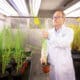 Luis Rubio, investigador del Instituto Nacional de Investigación y Tecnología Agraria y Alimentaria (INIA-CSIC), supervisa una planta, que forma parte de un proyecto para intentar desarrollar cultivos superproductivos sin fertilizantes, en el Centro de biotecnología y Genómica de las Plantas en Madrid. Promover una nueva revolución agrícola a través de cultivos que no necesitan fertilizantes químicos es el objetivo de este proyecto, liderado por Rubio, que ha recibido 4,5 millones de la Fundación Gates para su fase final. EFE/ César Hernández Regal/CSIC ***SOLO USO EDITORIAL/SOLO DISPONIBLE PARA ILUSTRAR LA NOTICIA QUE ACOMPAÑA (CRÉDITO OBLIGATORIO)***