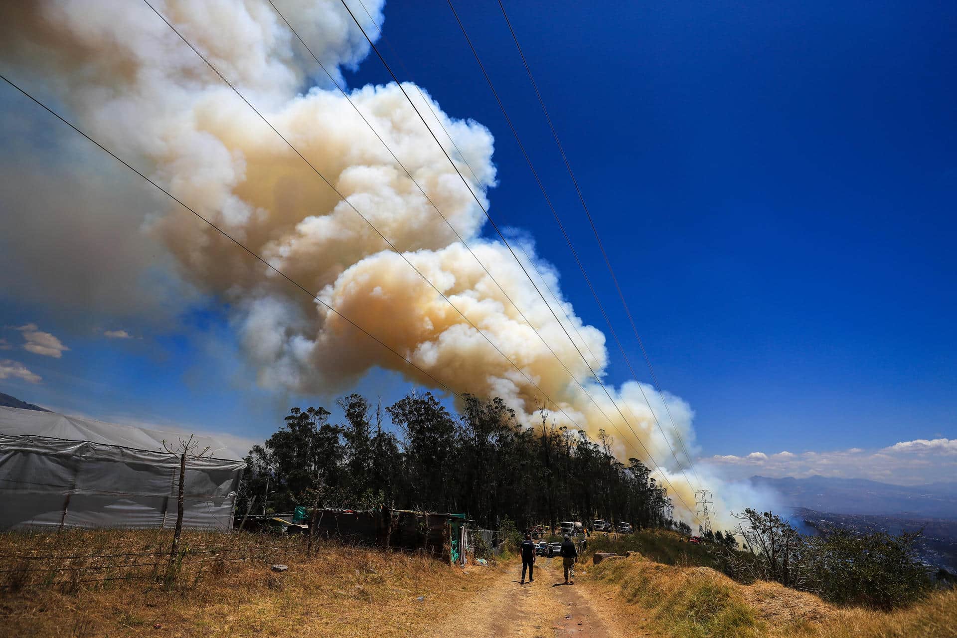 Fotografía de un incendio forestal en el Cerro Auki, en Quito (Ecuador).EFE/ José Jácome