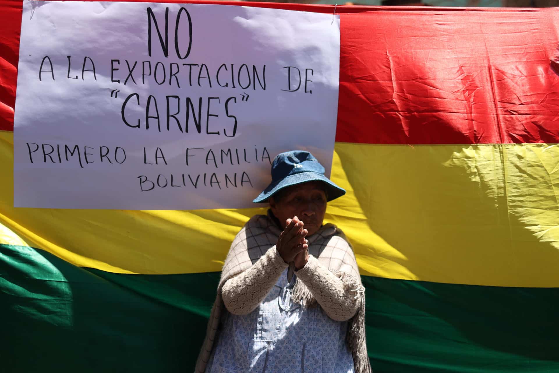 Una mujer aimara protesta por el alza de precios en la carne este lunes, en La Paz (Bolivia).EFE/Luis Gandarillas