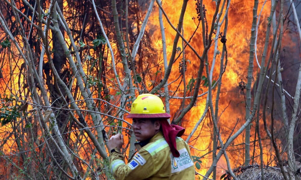 Fotografía de archivo del 13 de septiembre de 2024 de un bombero que trabaja apagando un incendio en la comunidad de Palestina (Bolivia). EFE/ Juan Carlos Torrejón