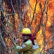 Fotografía de archivo del 13 de septiembre de 2024 de un bombero que trabaja apagando un incendio en la comunidad de Palestina (Bolivia). EFE/ Juan Carlos Torrejón