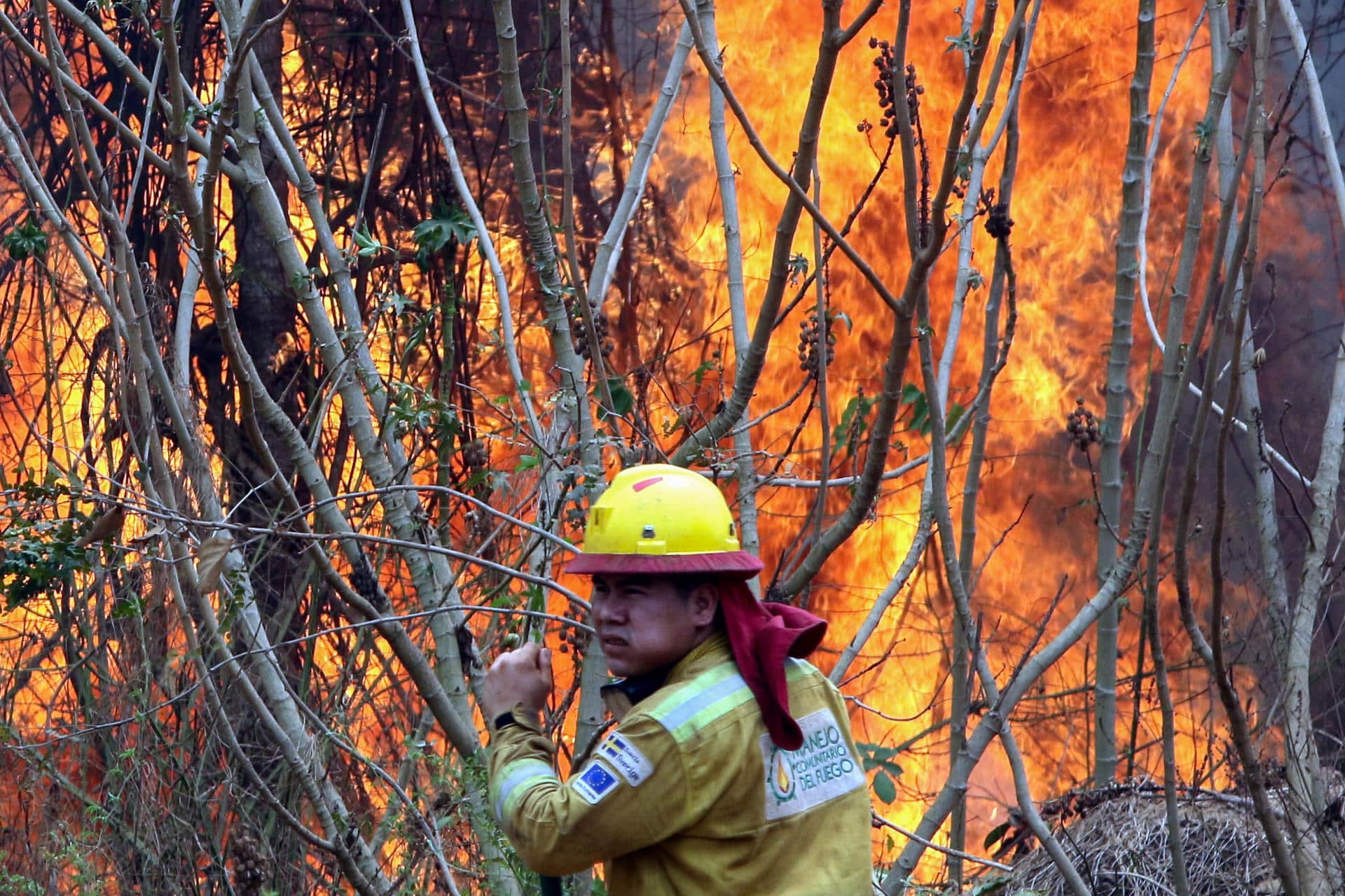 Fotografía de archivo del 13 de septiembre de 2024 de un bombero que trabaja apagando un incendio en la comunidad de Palestina (Bolivia). EFE/ Juan Carlos Torrejón