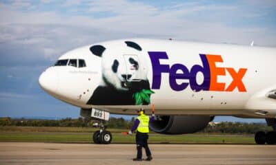 Un vuelo especial de FedEx llamado "Panda Express" que transporta dos pandas gigantes desde China llega al Aeropuerto Dulles en Virginia, EE.UU., este 15 de octubre de 2024.EFE/EPA/Jim Lo Scalzo