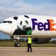 Un vuelo especial de FedEx llamado "Panda Express" que transporta dos pandas gigantes desde China llega al Aeropuerto Dulles en Virginia, EE.UU., este 15 de octubre de 2024.EFE/EPA/Jim Lo Scalzo