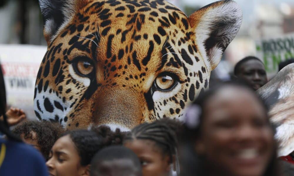 Fotografía general de la COP16, en la ciudad colombiana de Cali . EFE/ Ernesto Guzmán