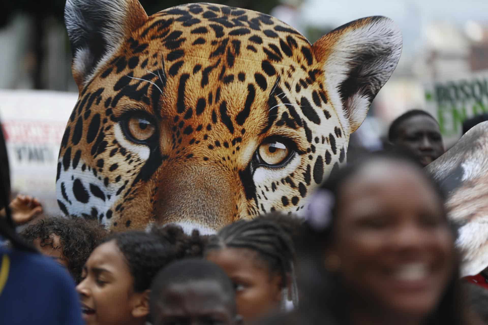 Fotografía general de la COP16, en la ciudad colombiana de Cali . EFE/ Ernesto Guzmán